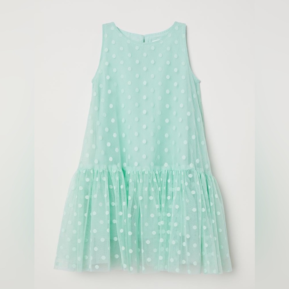 H&M Flared Mesh Dress